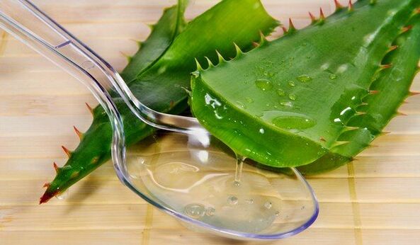 Aloe vera juice to remove papilloma