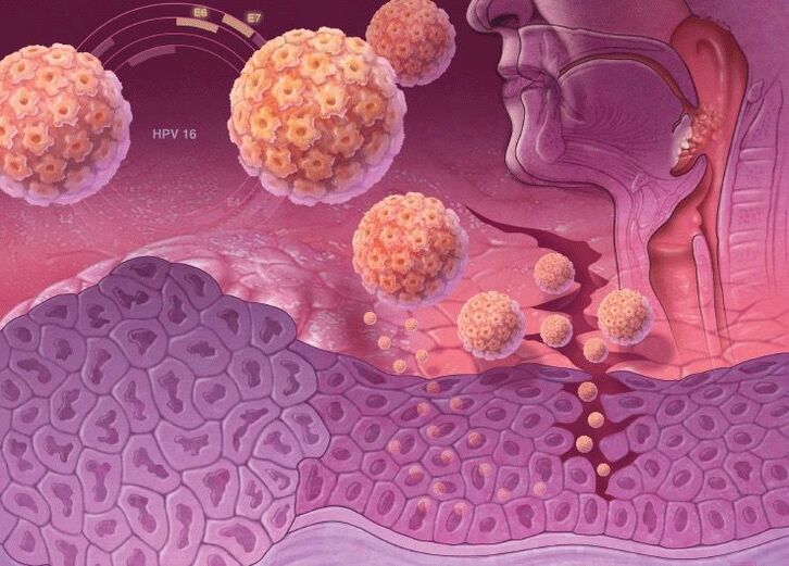HPV enters the human body